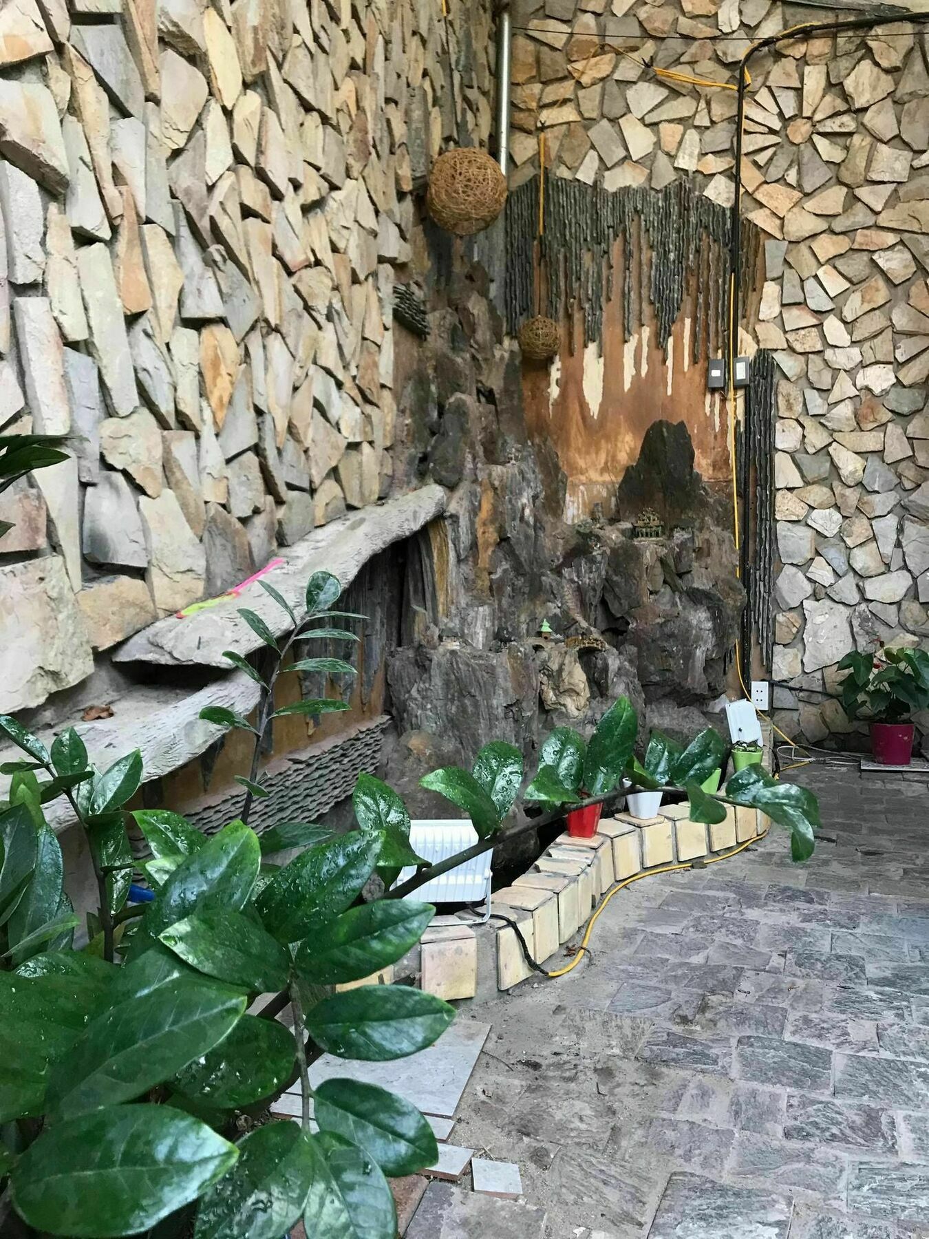Win Win Hostel Đà Nẵng Exterior foto